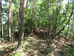 ����ɔ�����i��