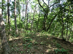 �����Ă�����R�R��