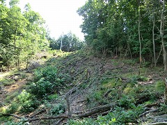 �ː��s��_������H