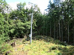 �n�f�W�����A���e�i