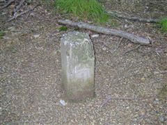 �����R�̎l���O�p�_