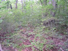 ������ƃ��u�ɁE�E�E