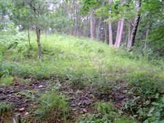 �V�����֔�яo��