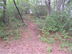 ���E�̉��R�H���߂��E�E