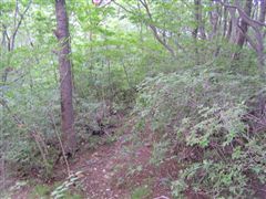 ���u��~�������E�E�E