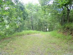 �V�������s��