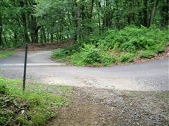 �ܑ��H������