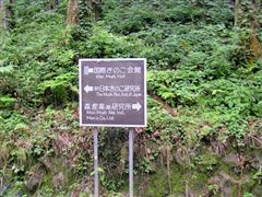 ����ȕW�����c���Ă��܂��B