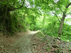 �ѓ���i��