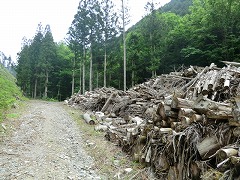 ���̂��ꂽ�|��