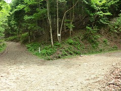 �V�����ѓ�