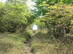 �ۂ��R�����]�߂�