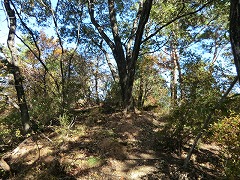 �ЂƂ߂̃s�[�N