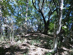 �ӂ��߂̃s�[�N