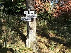 �ԕ��R�R��