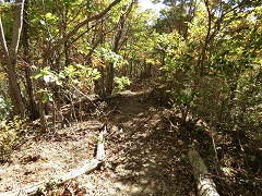 �s���Ăȓ�