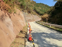 �H���̘e��