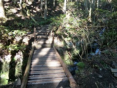 �؋��ő��n��