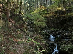 �򉈂��̎R��