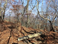 �m�c�R�x�R��