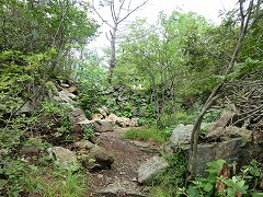 �m�c�R�x�R��