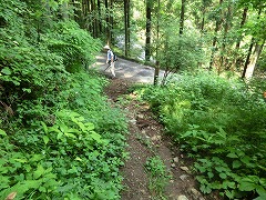 �R�c�i�M����