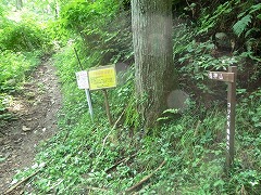 �R�c�i�M�����R��