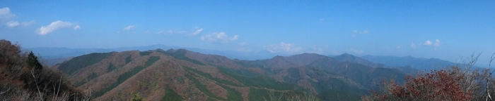 �_�R����̓W�]