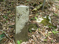 �\�l���ڐ�