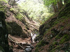 �����Ȃ�����