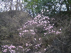 �A�J���V�I