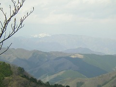 ���������R