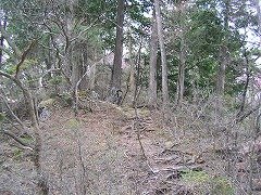 �悤�₭��������