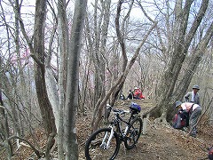 ���{�R�R���B���]�Ԃ�