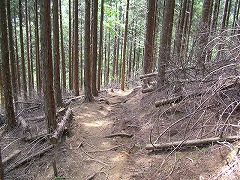 ���̔��̒n������