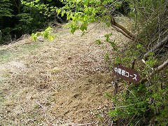 �������R�[�X���R��