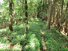 �����̓�