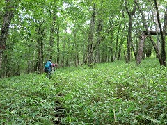 �����̓o��