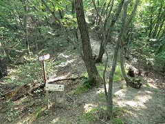 �W�]�䕪��