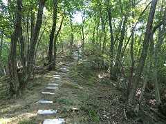 �y�X���ς܂ꂽ�W�]�䒼��