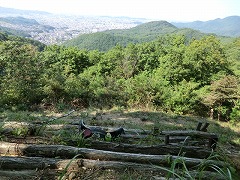 �W�]�䂩�獶�E�̓o��