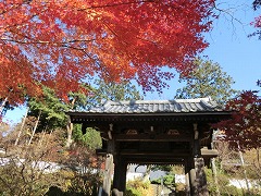 �g�t�̎R��