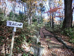 �o�R������