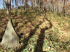 �N�}�U�T�̗я��̓�