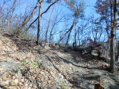 �ԕ��R�֌�����