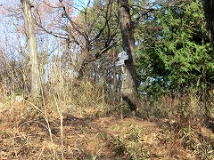 �ԕ��R�R��