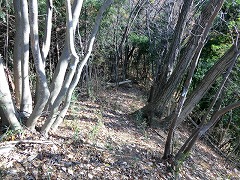 �������񉺂�