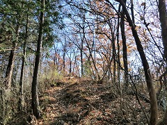 �ЂƂ߂̃s�[�N