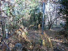 ���ɂS���O�p�_