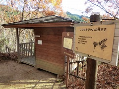 �L�A�Q�n�ώ@��